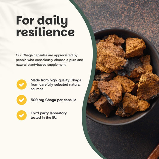 Chaga Kapseln 500 mg Bio - 60 Kapseln
