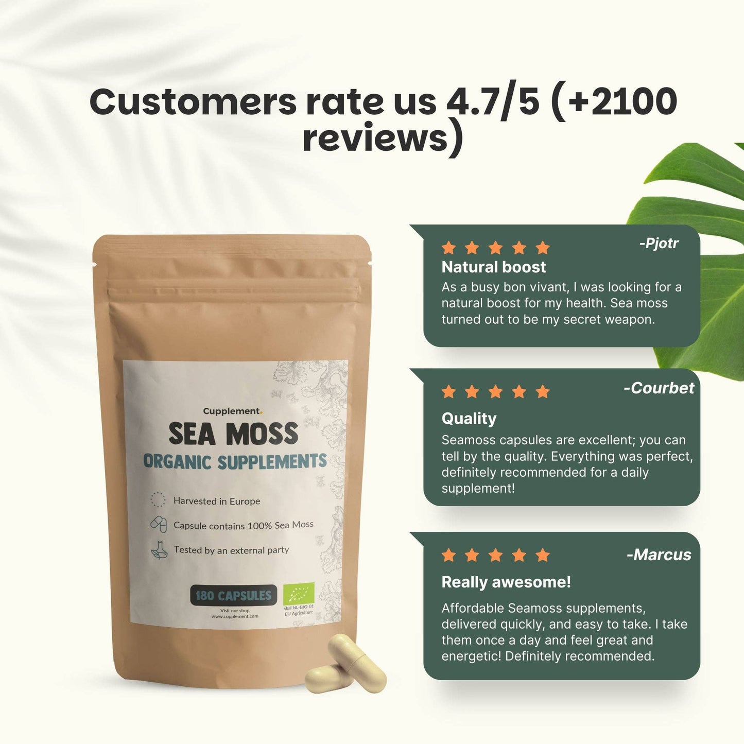 See-Moos-Kapseln 500 mg Bio - 60 Kapseln