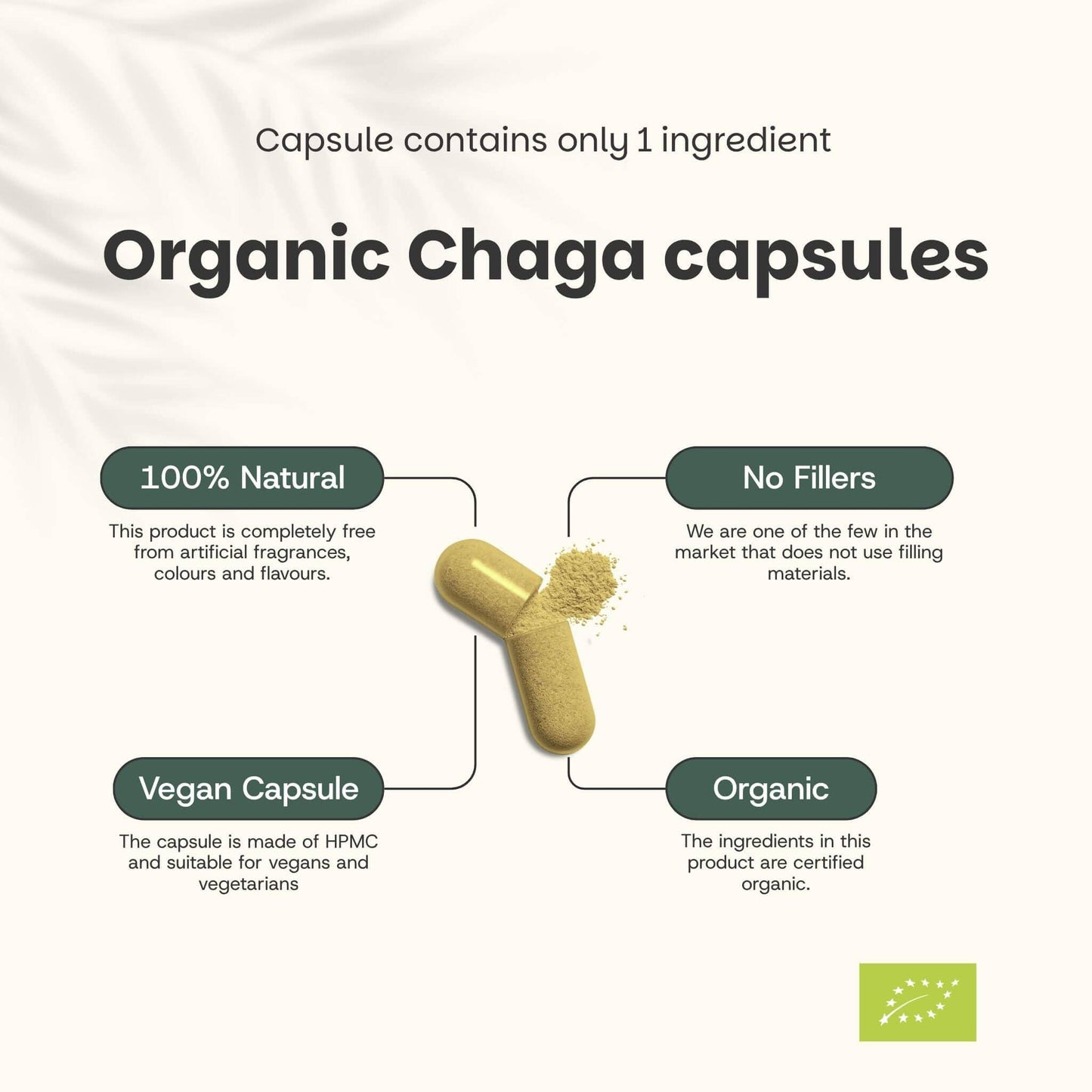 Chaga Kapseln 500 mg Bio - 60 Kapseln