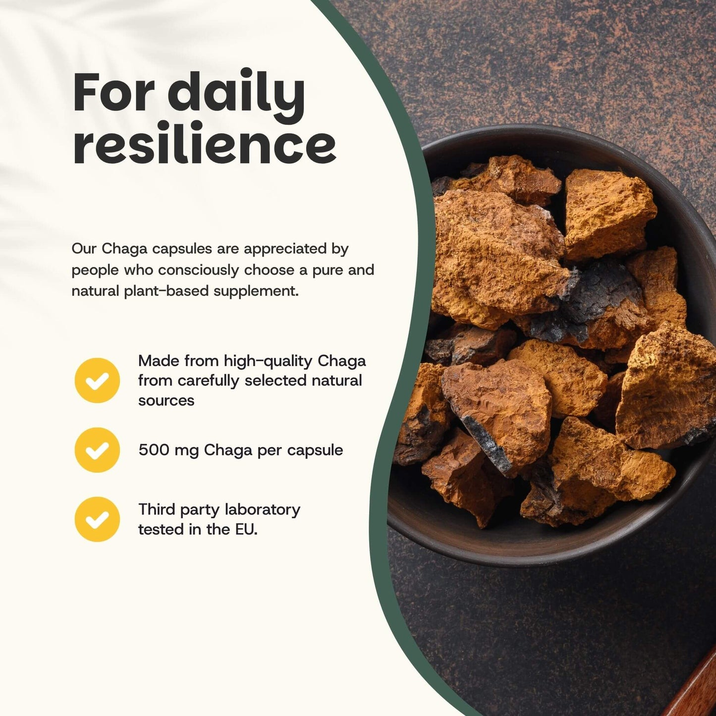 Chaga Kapseln 500 mg Bio - 60 Kapseln