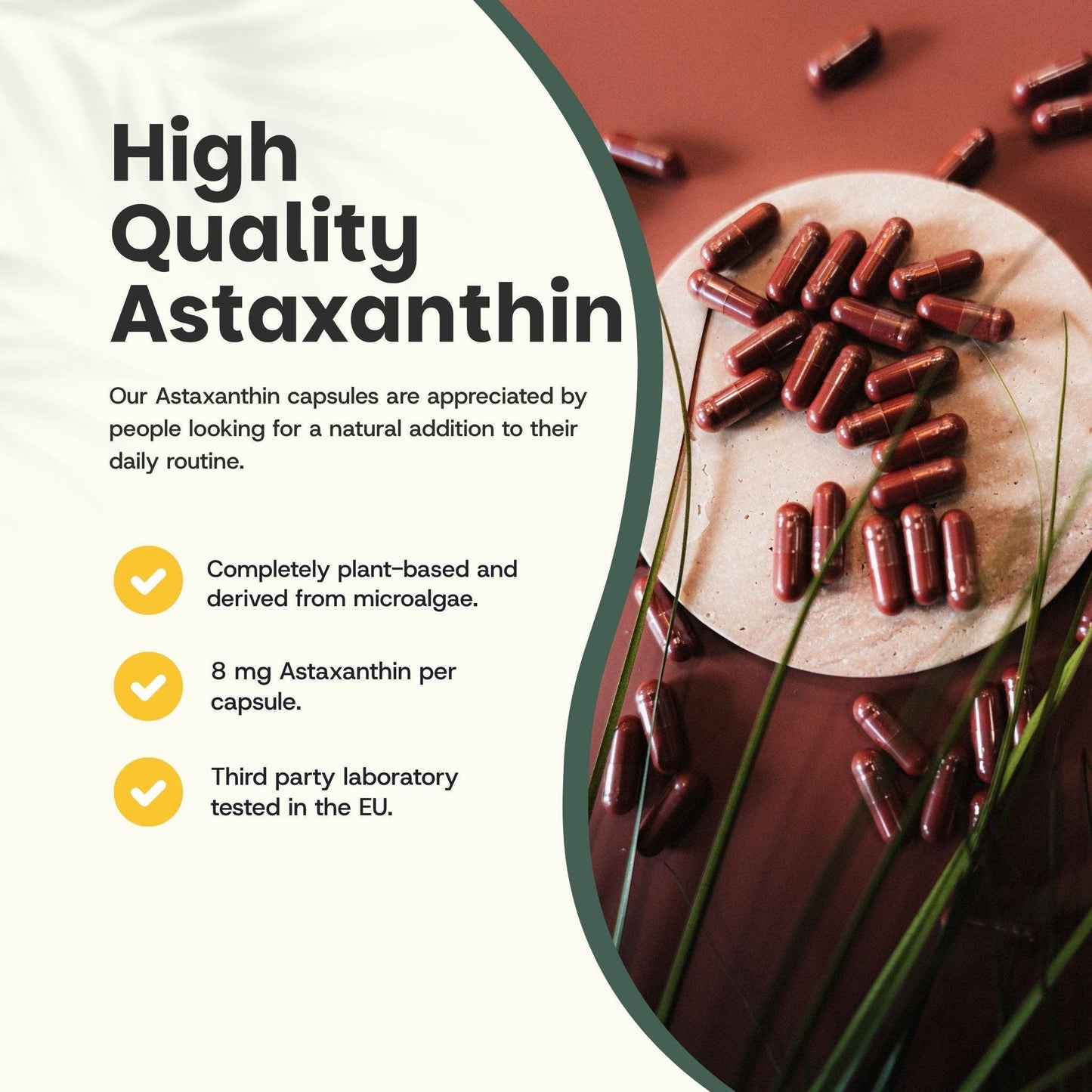 Astaxanthin Kapseln 8 mg - 60 Kapseln