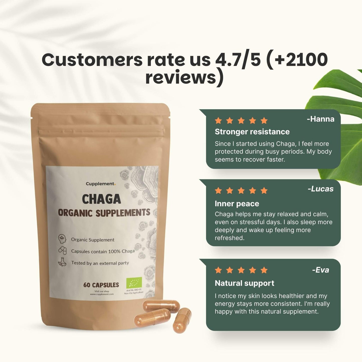 Chaga Kapseln 500 mg Bio - 60 Kapseln